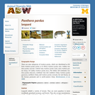 Panthera pardus: Information