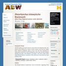 Oncorhynchus tshawytscha: Information