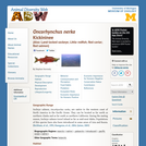 Oncorhynchus nerka: Information