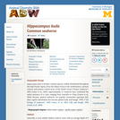 Hippocampus kuda: Information