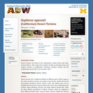 Gopherus agassizii: Information