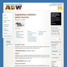 Lagostomus maximus: Information