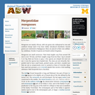 Herpestidae: Information