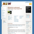 Hylonycteris underwoodi: Information