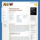 Galidictis fasciata: Information