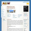 Melanerpes lewis: Information