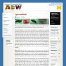 Lymnaeidae: Information