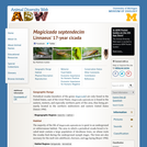 Magicicada septendecim: Information