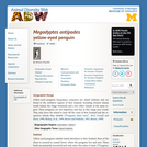 Megadyptes antipodes: Information