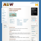 Manis crassicaudata: Information