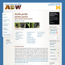 Gorilla gorilla: Information