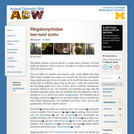 Megalonychidae: Information