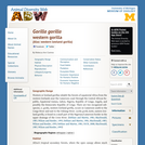 Gorilla gorilla gorilla: Information