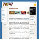 Helodermatidae: Information