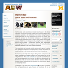 Hominidae: Information