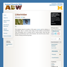 Littorinidae: Information