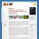 Hylidae: Information