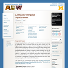 Limnogale mergulus: Information