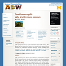 Gracilinanus agilis: Information