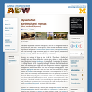 Hyaenidae: Information