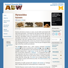 Hyracoidea: Information