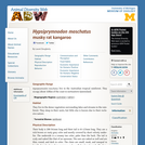 Hypsiprymnodon moschatus: Information