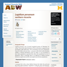 Lagidium peruanum: Information