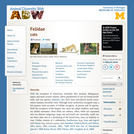 Felidae: Information