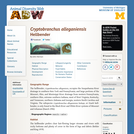 Cryptobranchus alleganiensis: Information