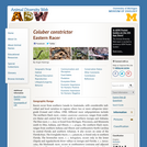 Coluber constrictor: Information