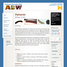 Diplopoda: Information