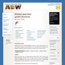 Eliomys quercinus: Information