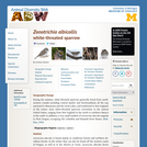 Zonotrichia albicollis: Information