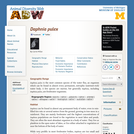 Daphnia pulex: Information
