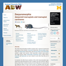 Dasyuromorphia: Information