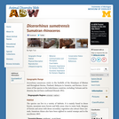 Dicerorhinus sumatrensis: Information