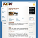 Clonophis kirtlandii: Information