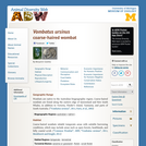 Vombatus ursinus: Information