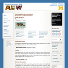 Dinomys branickii: Information