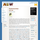 Daubentoniidae: Information