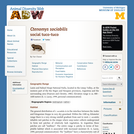 Ctenomys sociabilis: Information