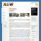 Vombatidae: Information