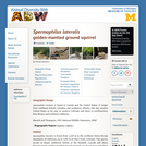 Spermophilus lateralis: Information