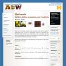 Chelicerata: Information