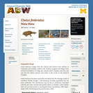 Chelus fimbriatus: Information