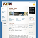 Chelonia mydas: Information