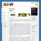 Soricidae: Information