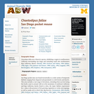 Chaetodipus fallax: Information