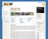 Trachemys scripta: Information