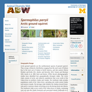 Spermophilus parryii: Information